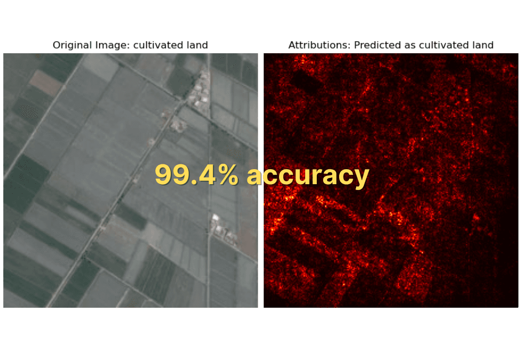 XAI Image Classifier